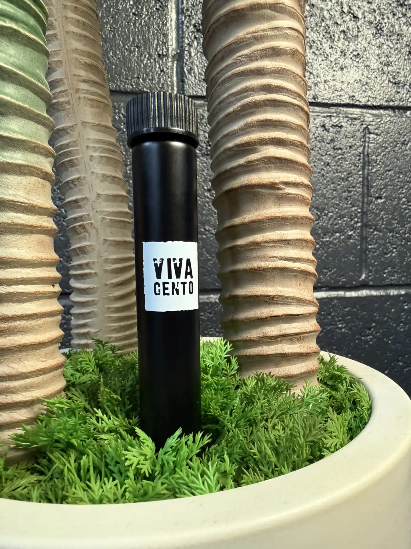 Viva Cento - Daily Olive Oil Shots (5-pack)